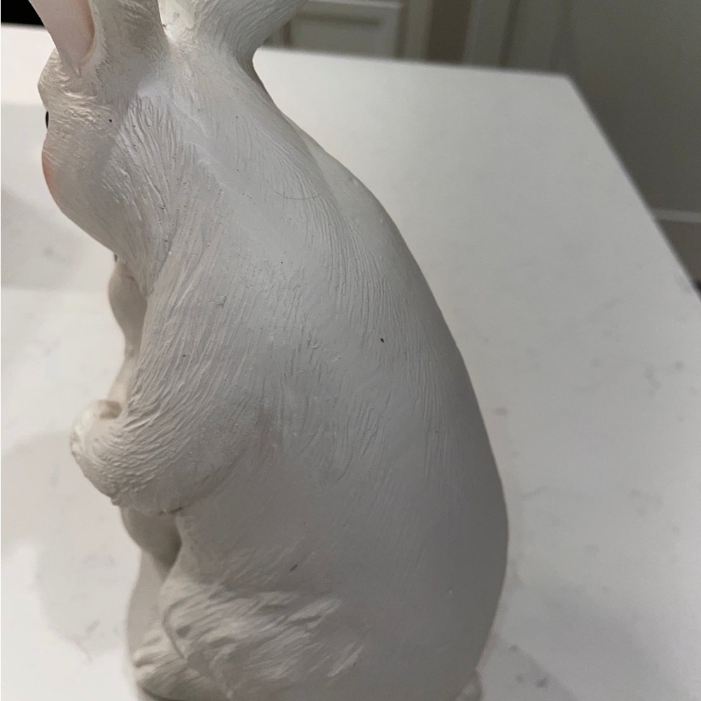 Bunny Rabbits - Picture 5 of 7